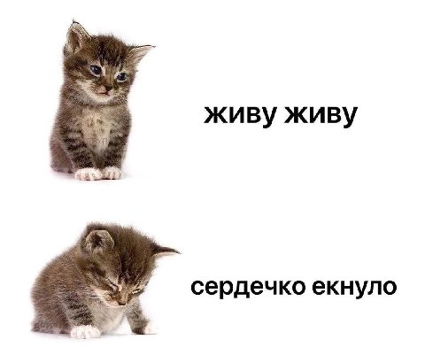 живу живу сердечко екнуло