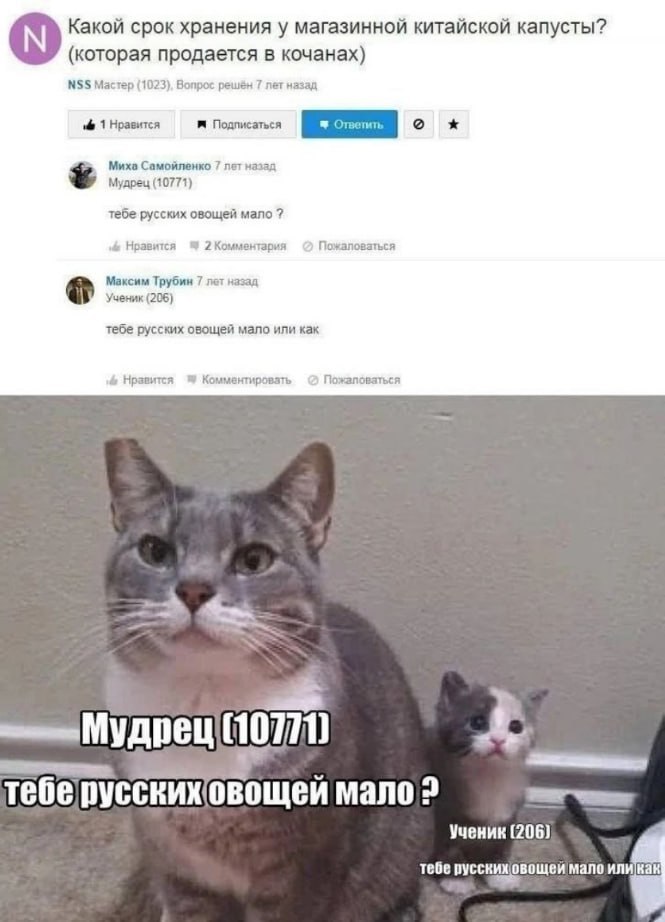 Какой срок хранения у магазинной китайской капусты? (которая продается в кочанах) NSS Мастер (1023), Вопрос решён 7 лет назад 1 Нравится Подписаться Миха Самойленко 7 лет назад Мудрец (10771) тебе рус