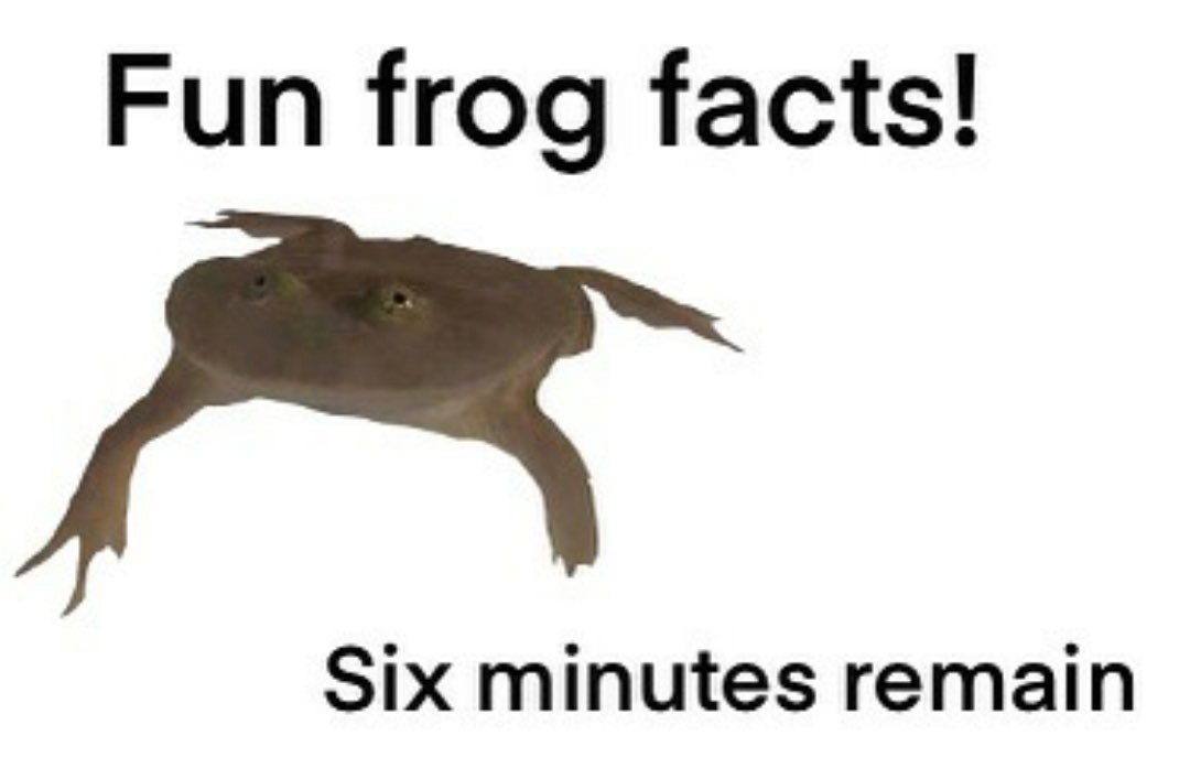 Fun frog facts! Six minutes remain