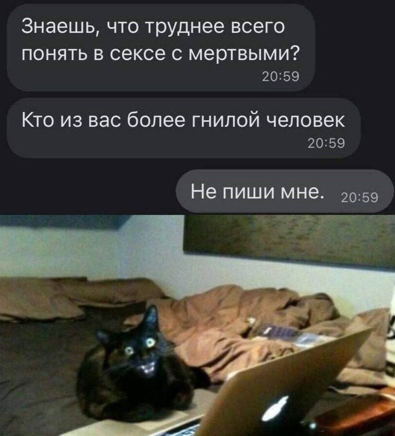 Знаешь, что труднее всего понять в сексе с мертвыми? 20:59 Кто из вас более гнилой человек Не пиши мне.