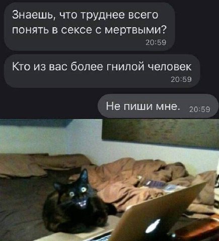 Знаешь, что труднее всего понять в сексе с мертвыми? 20:59 Кто из вас более гнилой человек Не пиши мне.