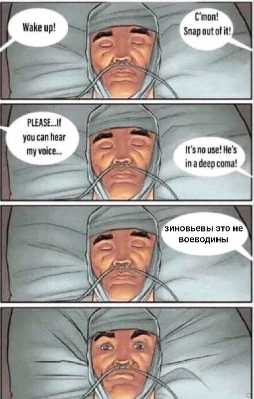 C'mon! out of it! you can hear my voice coma! зиновьевы это не воеводины