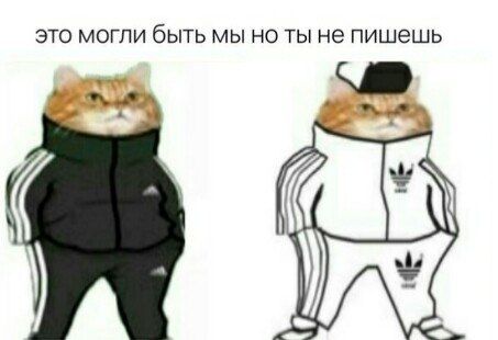 это могли быть мы но ты не пишешь