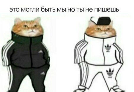 это могли быть мы но ты не пишешь