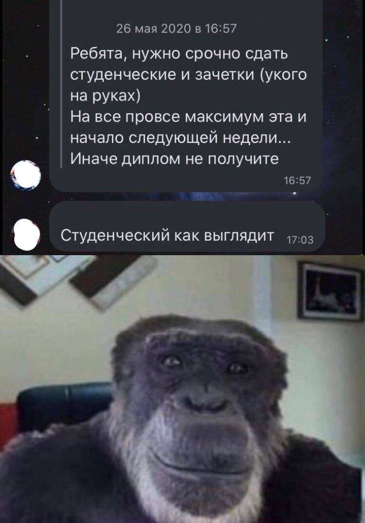 26 мая 2020 в 16:57 Ребята, нужно срочно сдать студенческие и зачетки (укого на руках) На все провсе максимум эта и начало следующей недели... Иначе диплом не получите 16:57 Студенческий как выглядит 