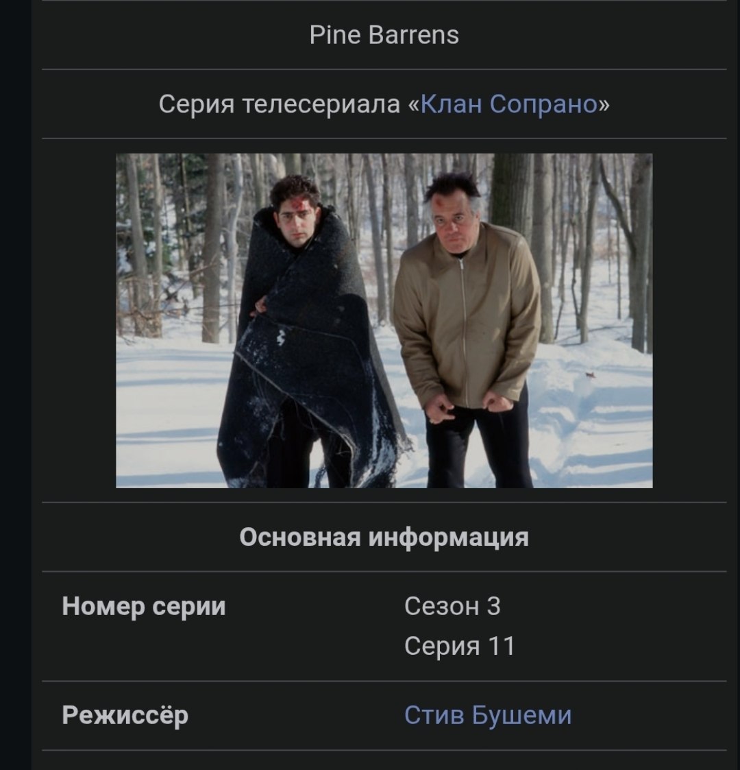 Фан-факт: ту самую серию Сопрано, где Поли и Кристофер блуждают по лесу, снял Стив Бушеми. А вы знали?