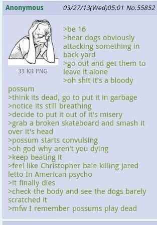 Anonymous No.55852 >hear dogs obviously attacking something In back yard out and get them 33 PNG leave shit it’s a bloody possum >think its dead, to put it In garbage >notice its still breathing >deci
