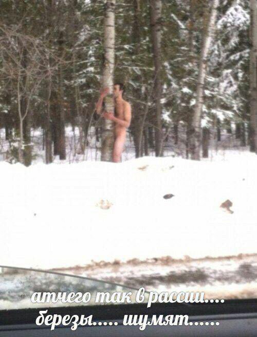 к a а березы.....
