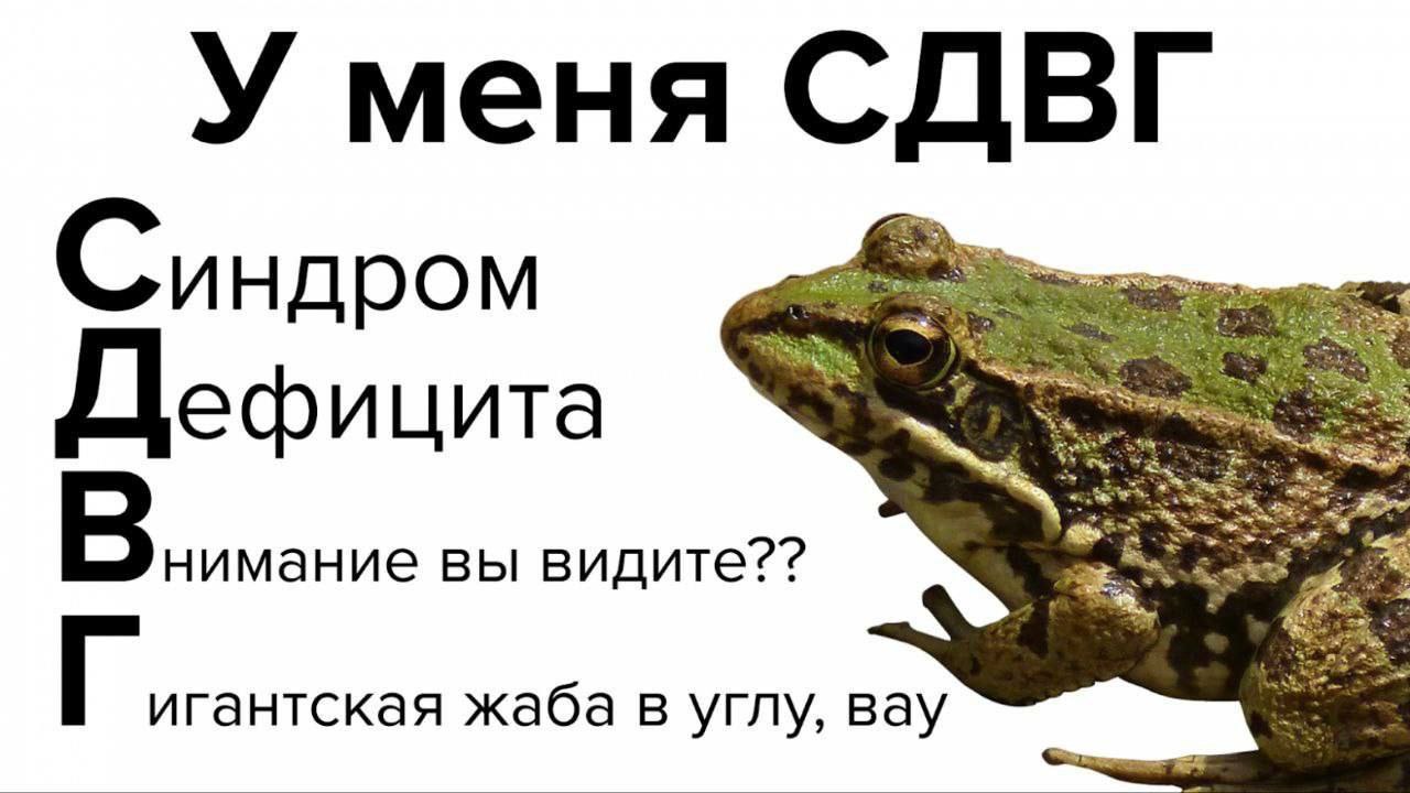 У меня СДВГ Res ндром at Дефицита нимание вы видите?? игантская жаба в углу, вау