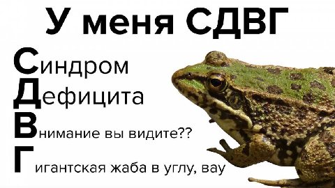 У меня СДВГ Res ндром at Дефицита нимание вы видите?? игантская жаба в углу, вау