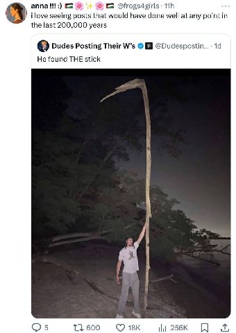 аппа! @frogs4girls ilove seeing posts that would have done well at any point in the last 200,000 years Dudes Posting Their He found THE stick 600