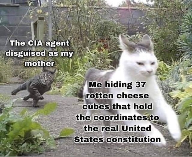 The CIA agent disguised as my mother 37 спеезе, thelcoordinatesito United Constitution