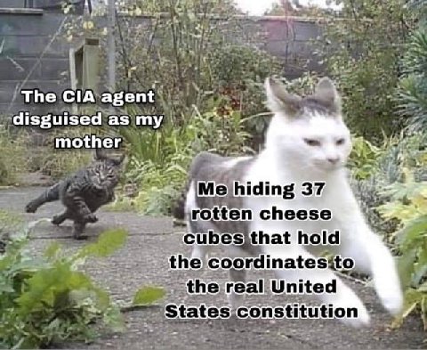 The CIA agent disguised as my mother 37 спеезе, thelcoordinatesito United Constitution