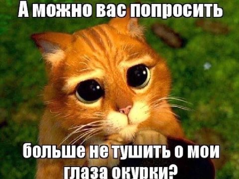 А можно вас попросить больше не тушить о мои 1939