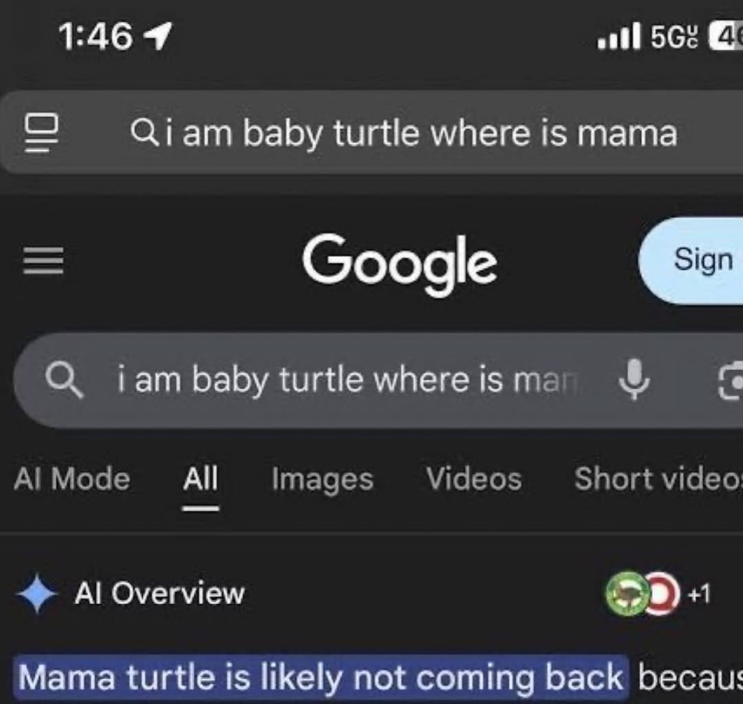 1:46 56% baby turtle where is mama Google Гат baby turtle where is А! Моде Videos Short video Images Overview +1 Mama turtle is likely not coming back becau: