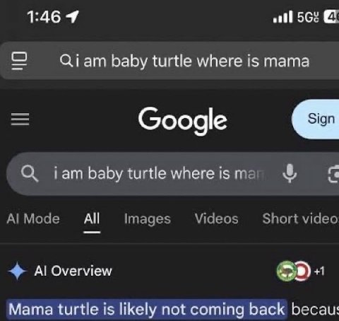 1:46 56% baby turtle where is mama Google Гат baby turtle where is А! Моде Videos Short video Images Overview +1 Mama turtle is likely not coming back becau: