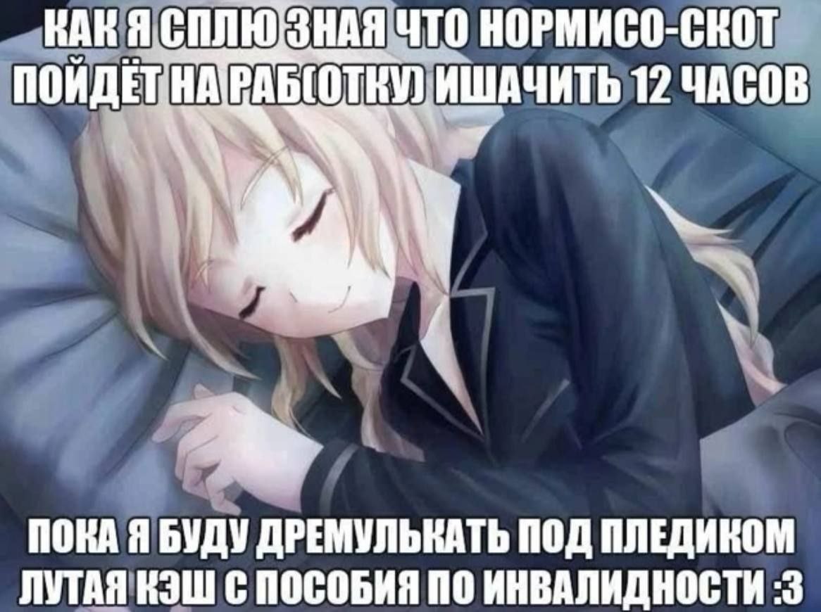 ВАК Я ЧТО НОРМИ KOT НА ИШАЧИТЬ 12 ЧАСОВ ПОКА Я БУДУ ДРЕМУЛЬКАТЬ ПОД ПЛЕДИКОМ ЛУТАЯ КЭШ С ПОСОБИЯ ПО ИНВАЛИДНОСТИ :3