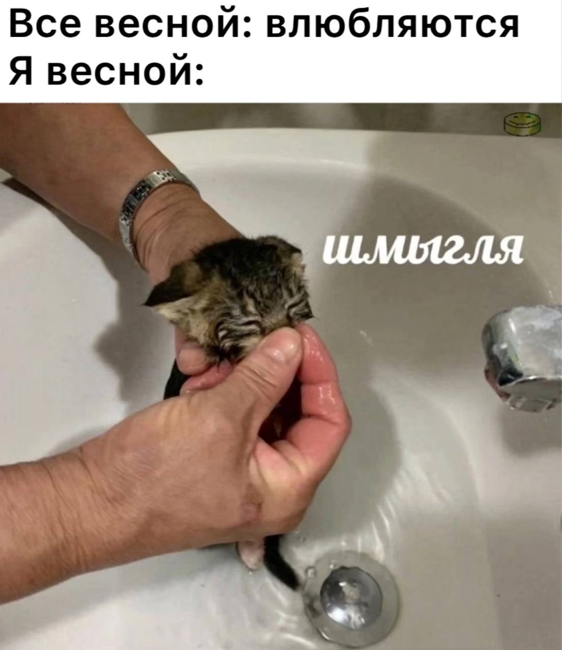 Все весной: влюбляются Я весной: