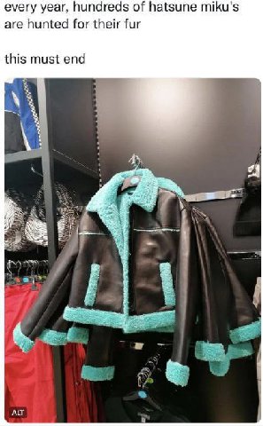 every year, hundreds of hatsune miku's are hunted for their fur this must end ALT
