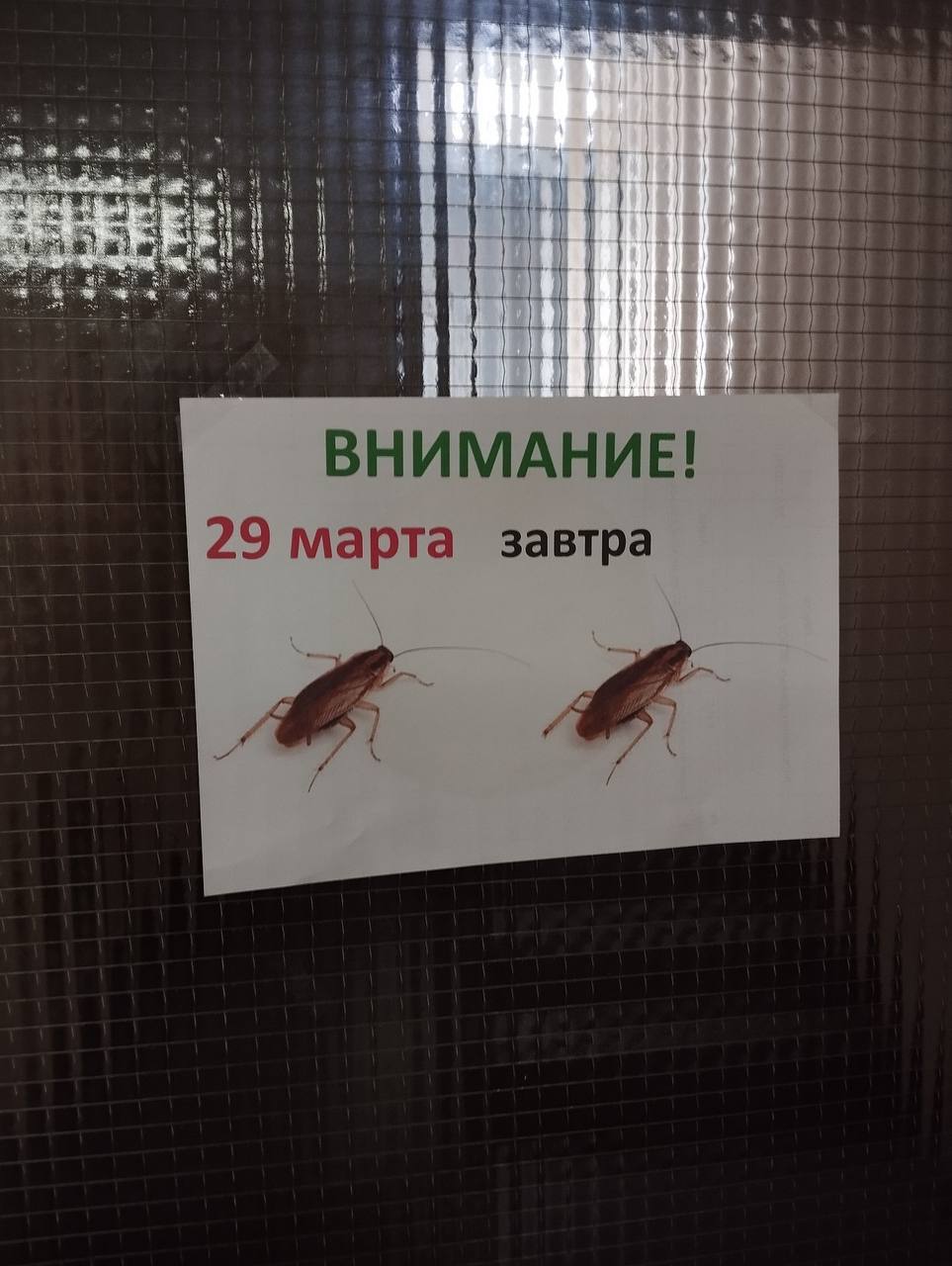 i 4 ВНИМАНИЕ! 29 марта завтра