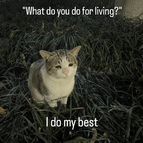 “What you for living?" my best