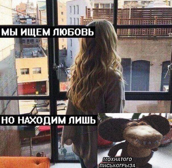 МЫ ИЩЕМ ЛЮБОВЬ НАХОДИМ лишь ПИСЬКОГРЫЗА