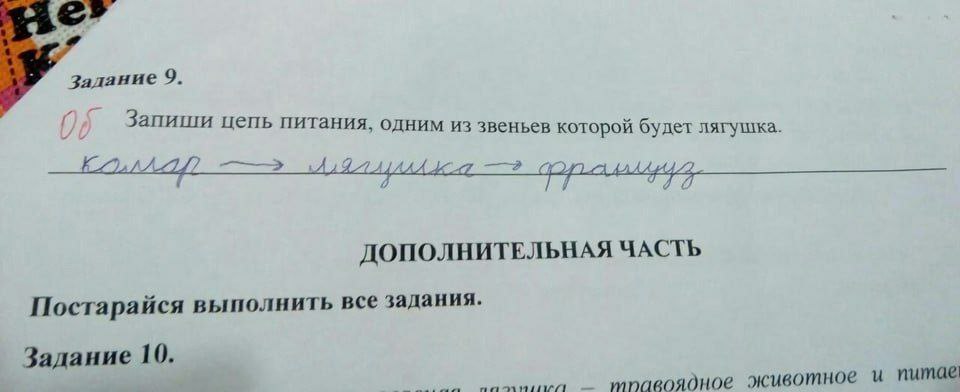 Залание 9. Запиши цепь питания, одним из звеньев которой будет лягушка ДОПОЛНИТЕЛЬНАЯ ЧАСТЬ Постарайся выполнить все задания. Задание 10. животное и питае