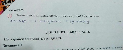 Залание 9. Запиши цепь питания, одним из звеньев которой будет лягушка ДОПОЛНИТЕЛЬНАЯ ЧАСТЬ Постарайся выполнить все задания. Задание 10. животное и питае