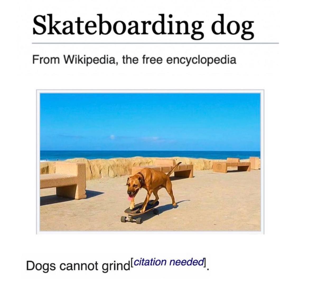 Skateboarding dog From Wikipedia, the free encyclopedia Dogs cannot needed)