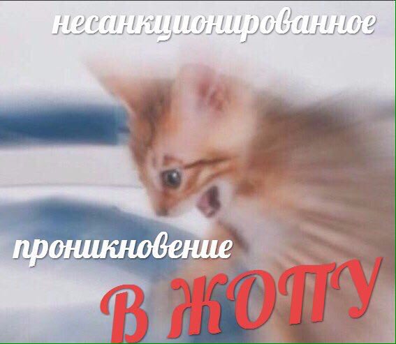 126 проникновение