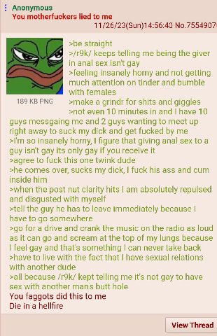 Anonymous You motherfuckers lied to me 11/26/23(Sun)14:56:40 №.7554907 >be straight keeps telling me being the giver in anal sex isn't gay >feeling insanely horny and not getting much attention on tin