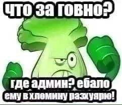 ЧТО За говно ‘THe: adam ебало ему вхлемину разхуя