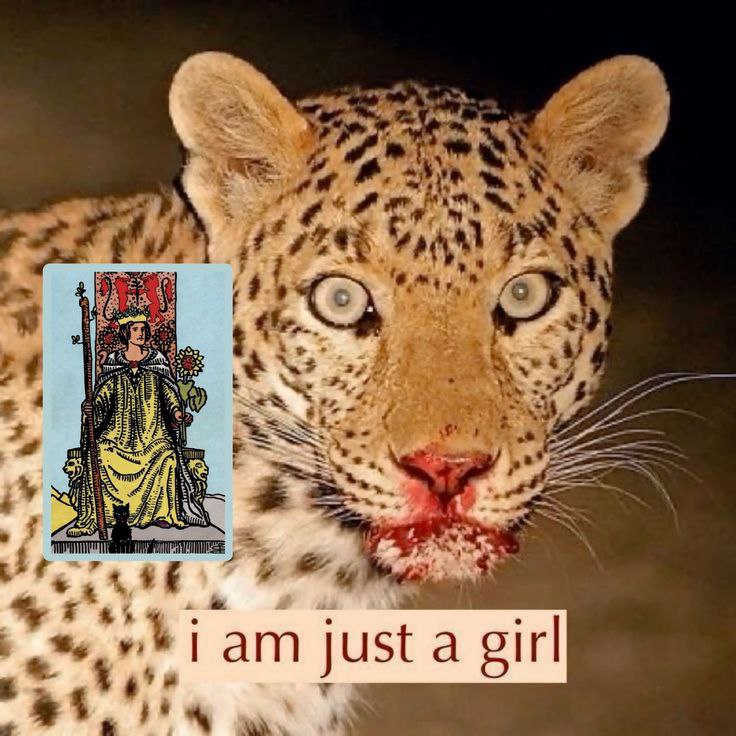 Гат just a girl