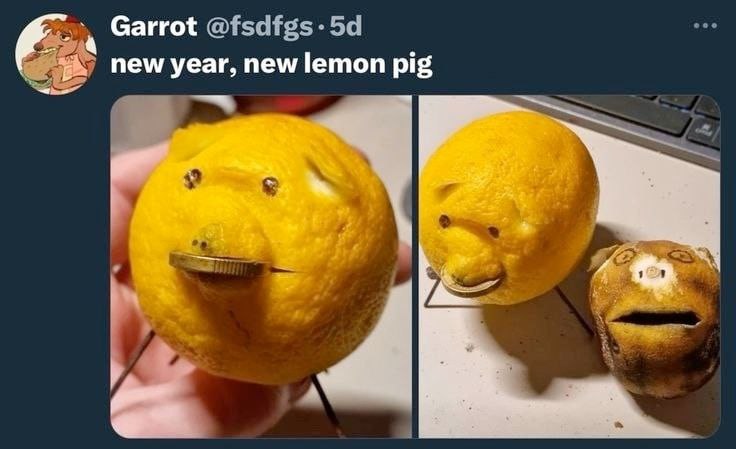 Garrot new year, new lemon pig