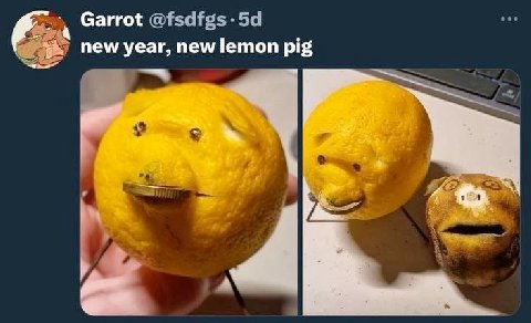 Garrot new year, new lemon pig