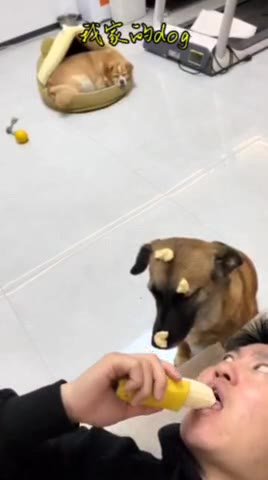 мем