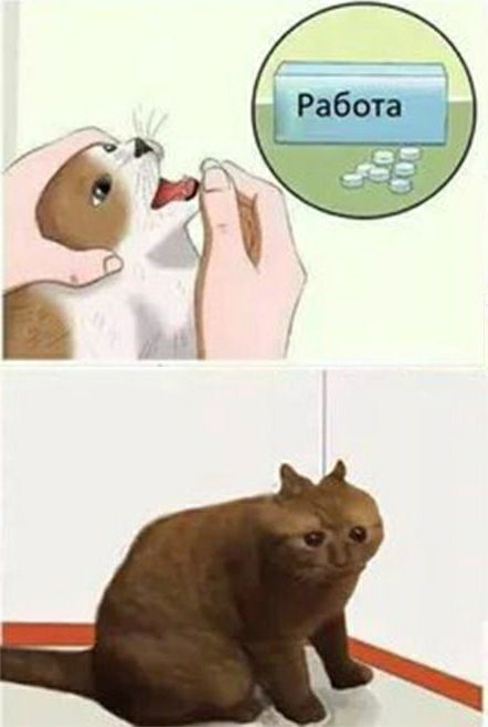 Работа