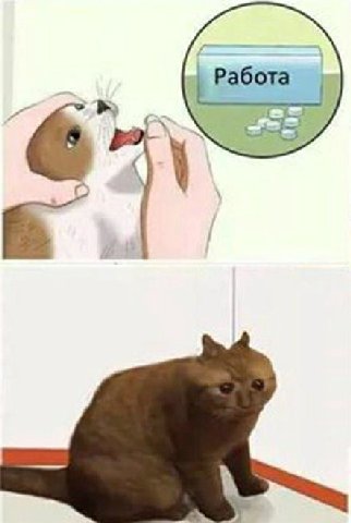 Работа