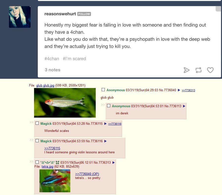 reasonswehurt Honestly my biggest fear is falling in love with someone and then finding out they have a 4chan. Like what you with that, they’re a psychopath in love with the deep web and they’re actua