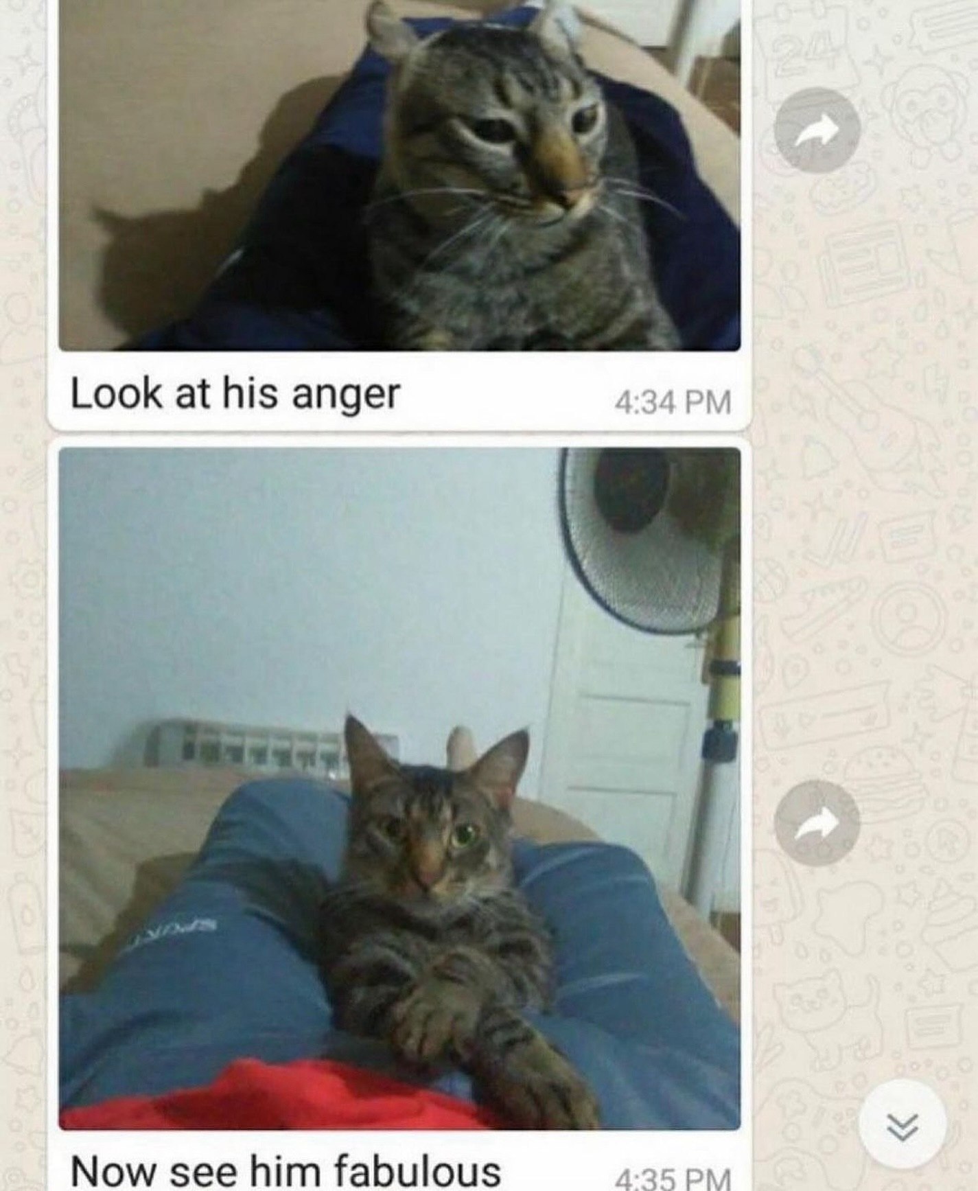 Look at his anger Now see him fabulous