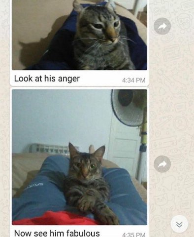 Look at his anger Now see him fabulous