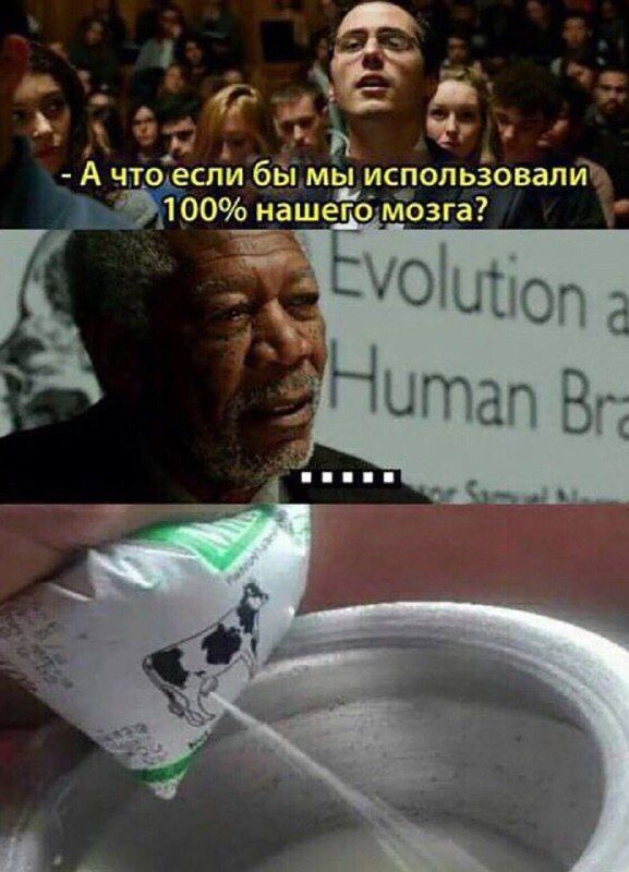 А что если бы мы использовали 100% нашего мозга?