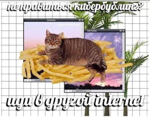 a 24 У