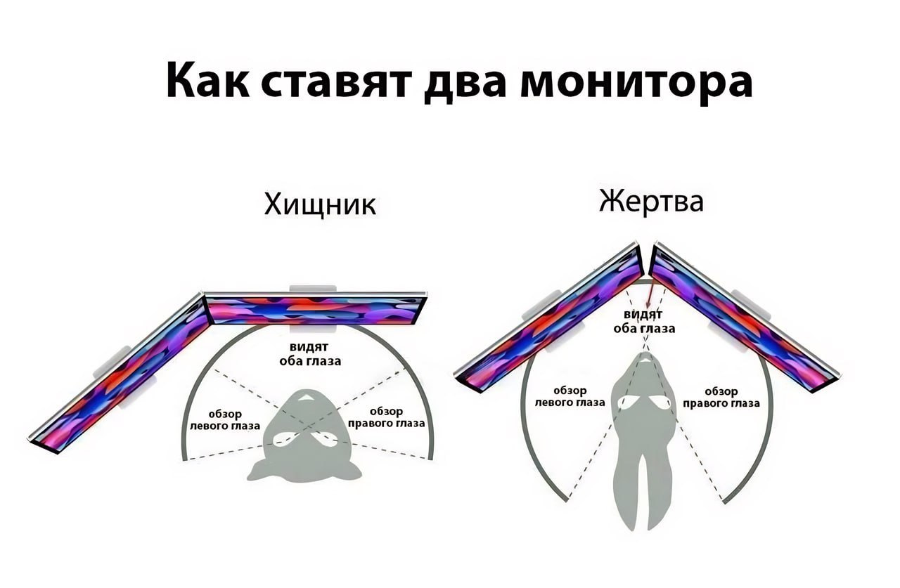 Как ставят два монитора Жертва Хищник видяг оба глаза видят оба глаза 0630 1 A 0630 "a 0630) левого глаза правого глаза обзо левого глаза правого глаза