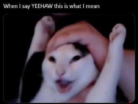 When say YEEHAW this is what mean