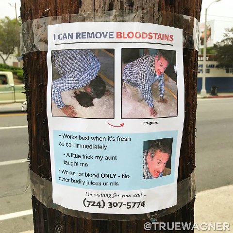CAN REMOVE BLO: к i It's gone. Works best when it's fresh SO call immediately *Alittle trick my aunt taught me for blood ONLY No other bodily juices or oils и waiting for your сай... 724) 307-5774 @TR