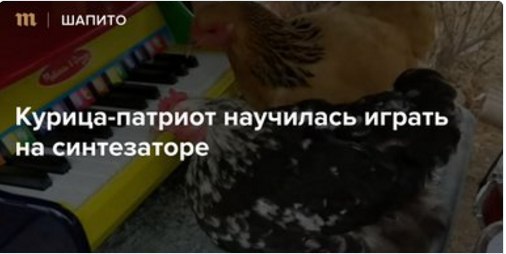ШАПИТО Курица-патриот научилась играть на синтезаторе