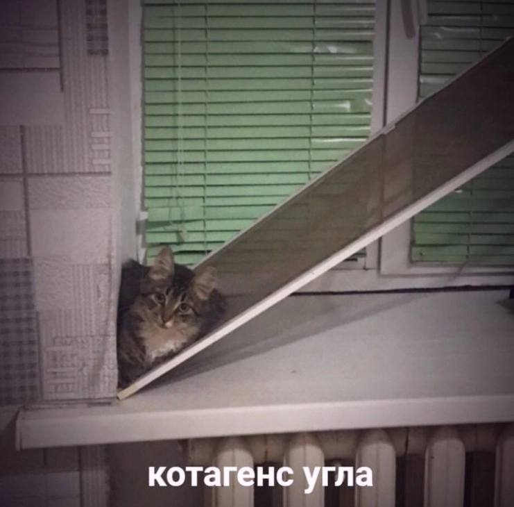 котагенс угла