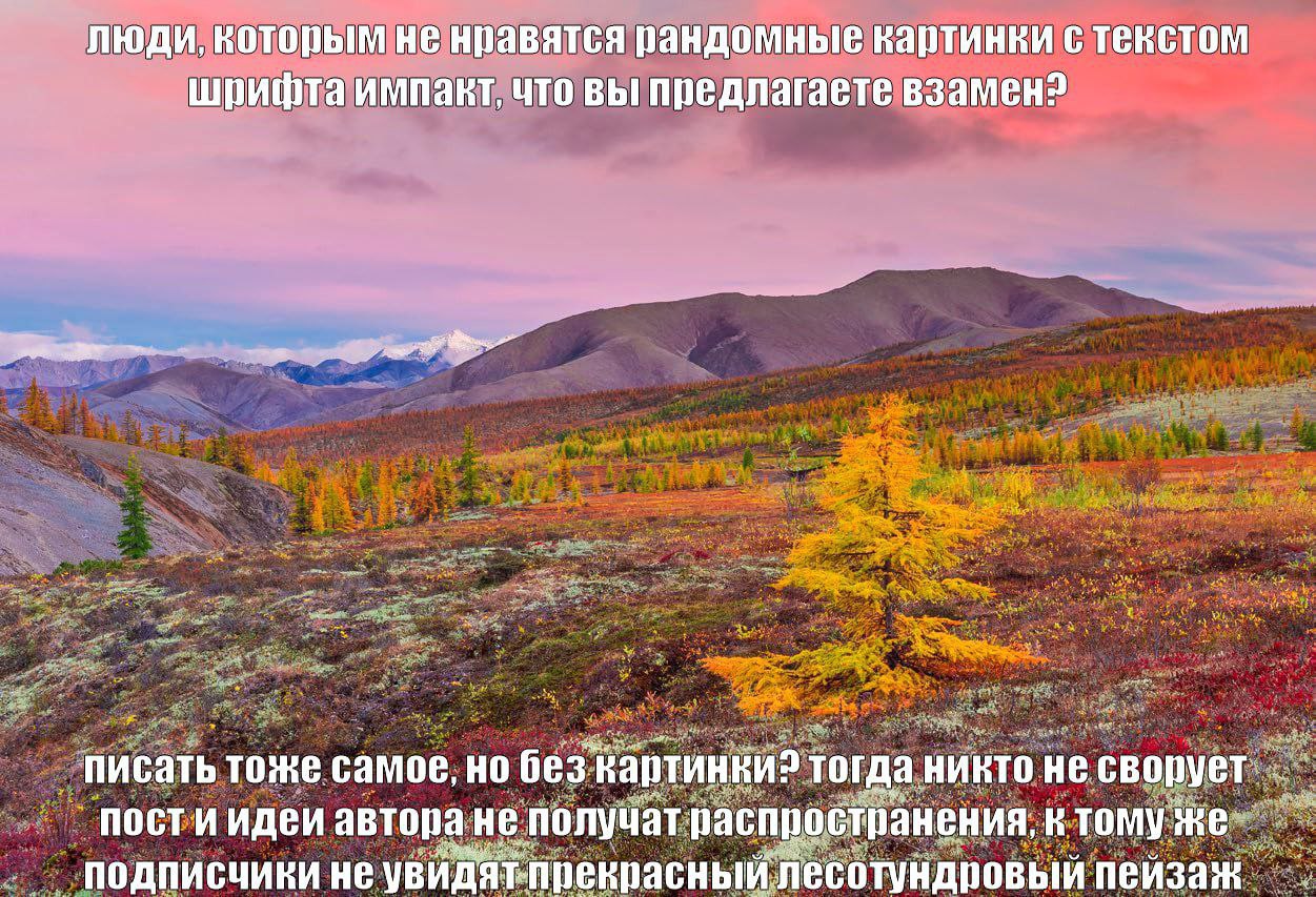 люди, которым не нравятся рандомные картинки с текстом шрифта импакт, что вы предлагаете взамен? писать тоже самое, но без Картинки? тогда никто не автора He получат ктомуже подписчики не увидят-прекр