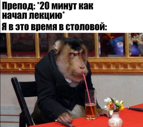 Препод: *20 минут как начал лекцию Я в это время в столовой: i